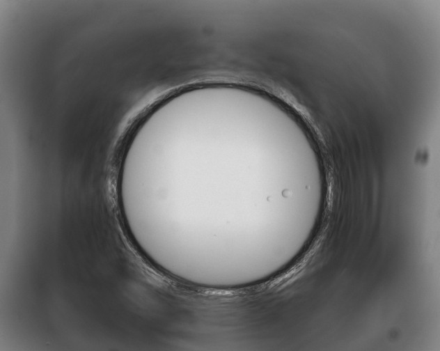 X0000100421454200806060937