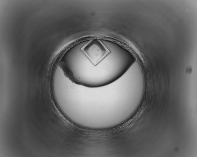 X0000100421456200806060937