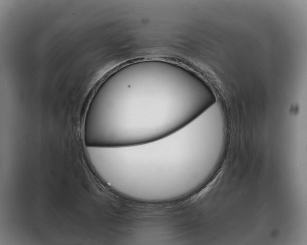 X0000100421457200806060937