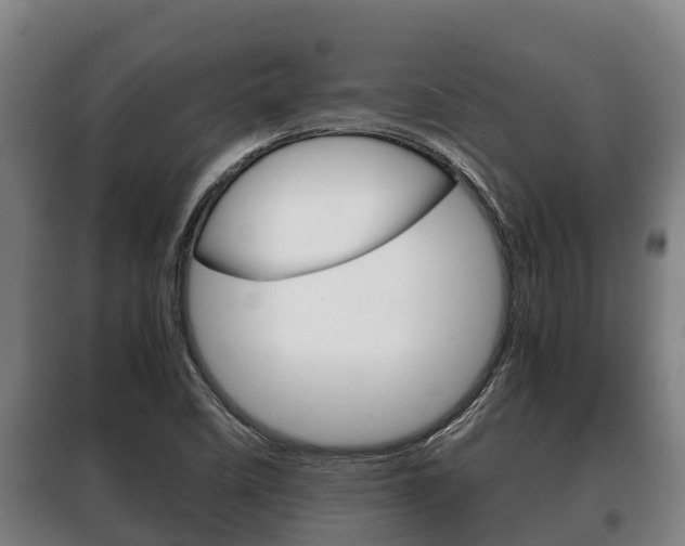 X0000100421458200806060937