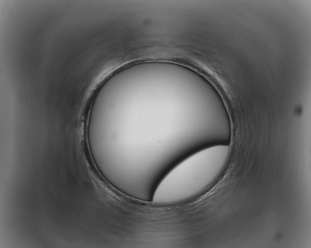 X0000100421459200806060937