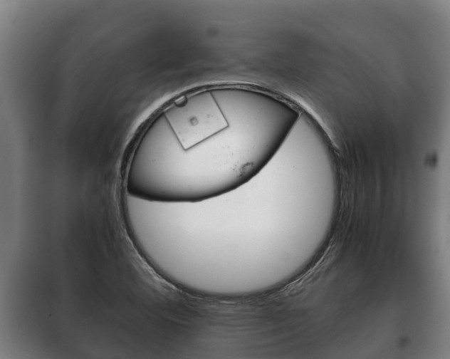 X0000100421460200806060937