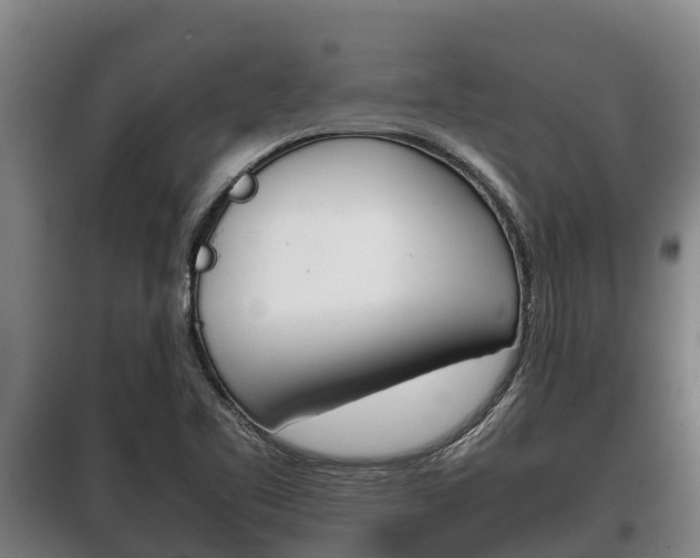 X0000100421461200806060937