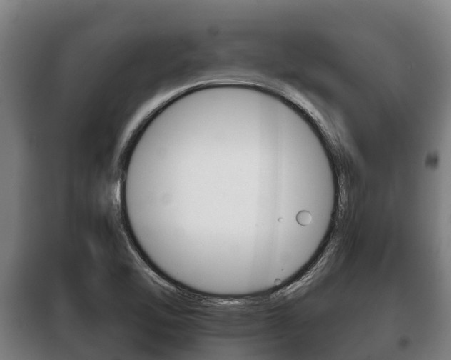 X0000100421462200806060937