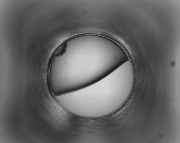 X0000100421463200806060937