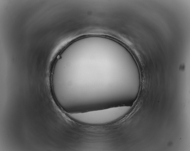 X0000100421464200806060937