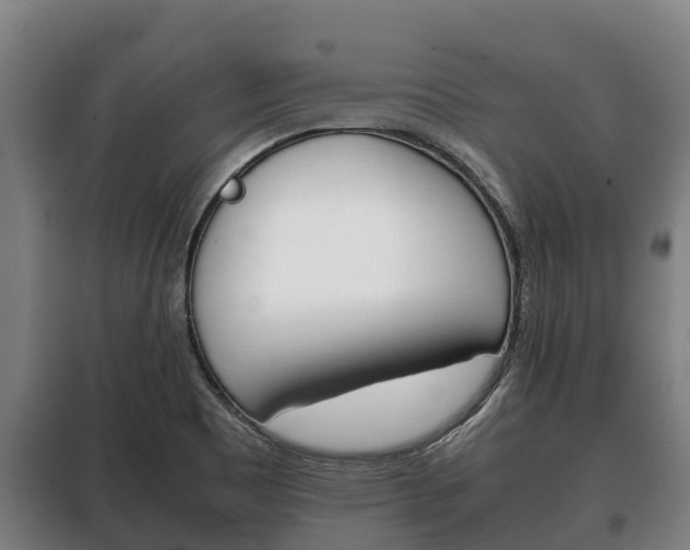 X0000100421465200806060937