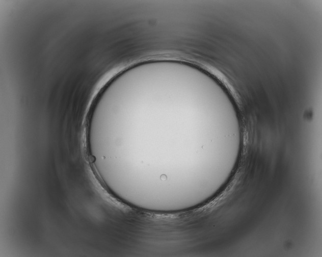 X0000100421466200806060937