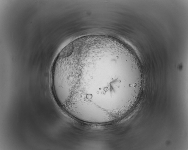 X0000100421467200806060937