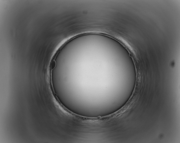 X0000100421468200806060937