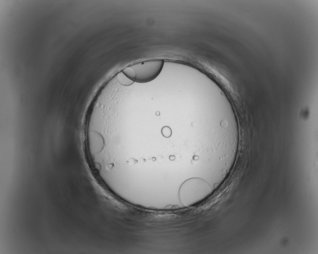 X0000100421471200806060937