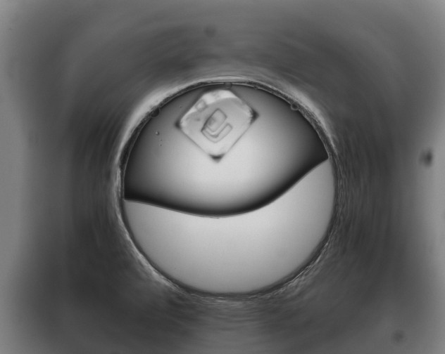 X0000100421472200806060937