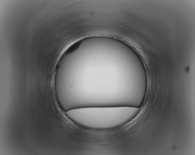 X0000100421473200806060937