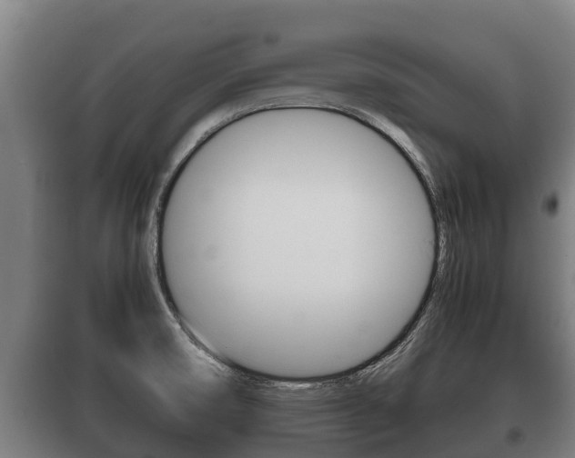 X0000100421474200806060937