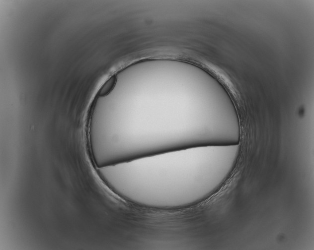X0000100421475200806060937