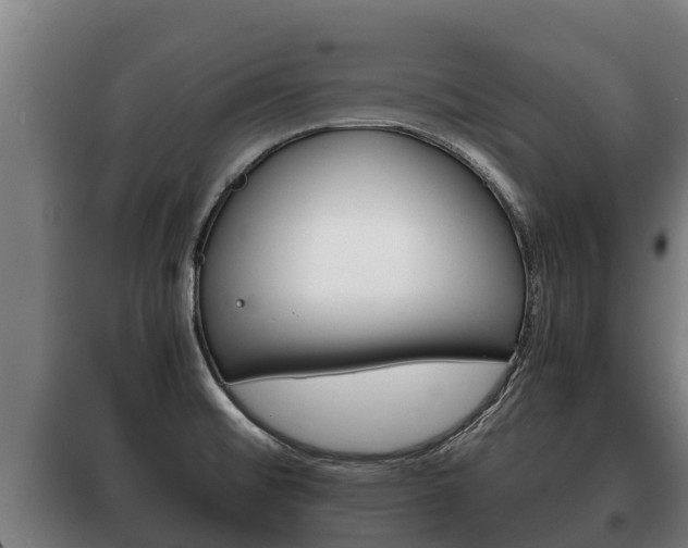 X0000100421476200806060937