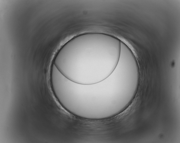 X0000100421477200806060937