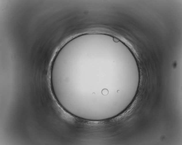 X0000100421478200806060937