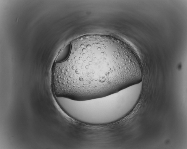 X0000100421479200806060937