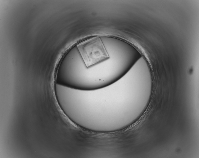 X0000100421480200806060937