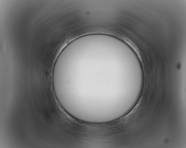 X0000100421481200806060937