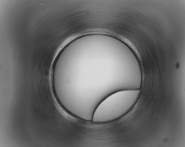 X0000100421482200806060937