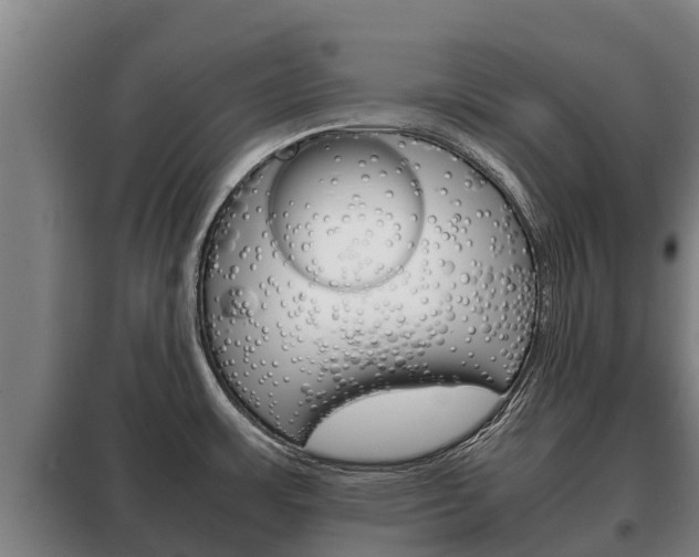 X0000100421483200806060937