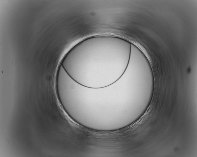 X0000100421485200806060937