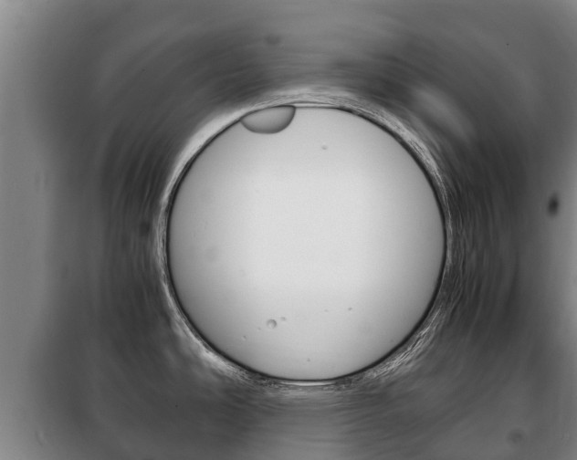 X0000100421486200806060937