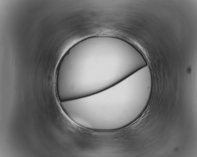 X0000100421487200806060937