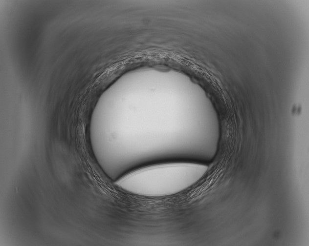 X0000100421489200806060936
