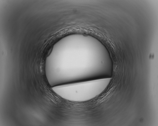X0000100421490200806060936