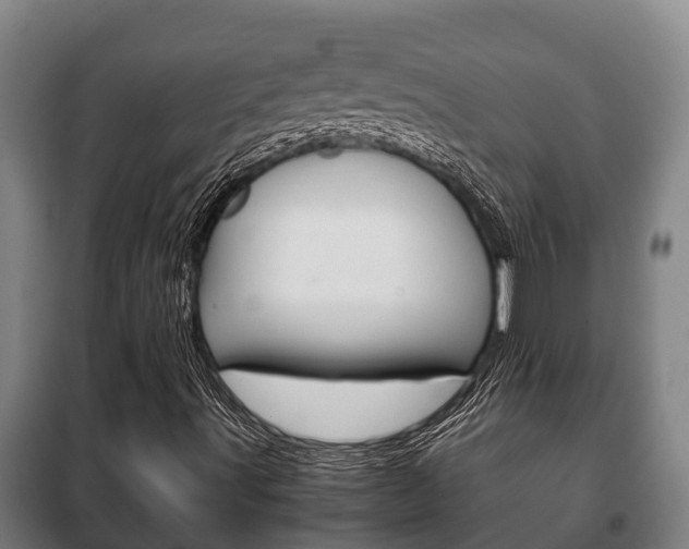 X0000100421491200806060936