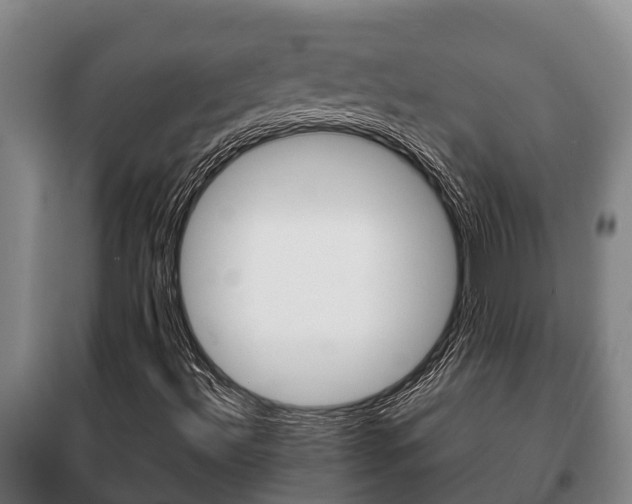 X0000100421492200806060936