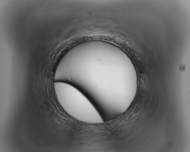 X0000100421493200806060936