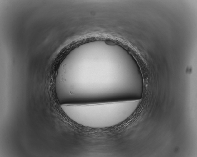 X0000100421495200806060936