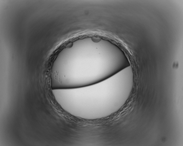 X0000100421496200806060936