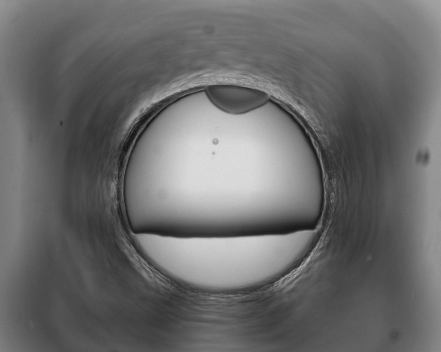 X0000100421499200806060936