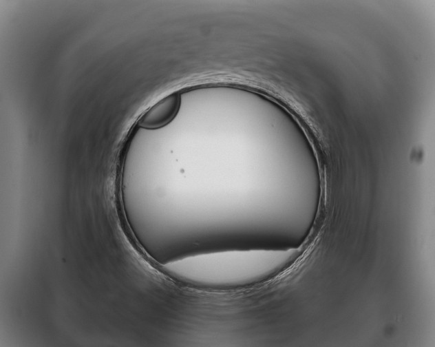 X0000100421500200806060936
