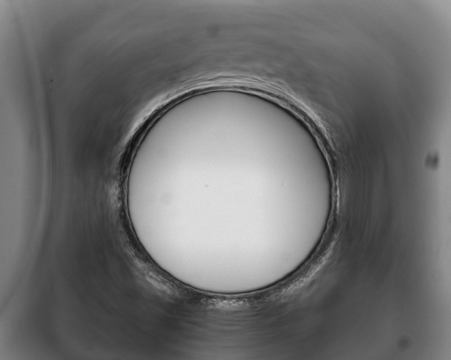 X0000100421501200806060936
