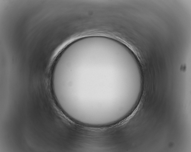 X0000100421502200806060936