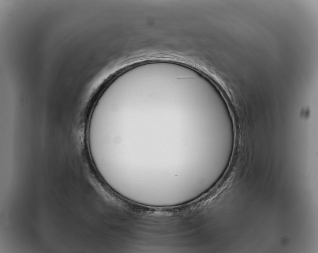 X0000100421503200806060936