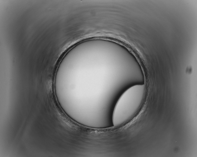 X0000100421505200806060936