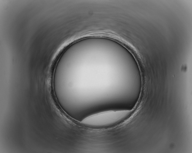 X0000100421506200806060936