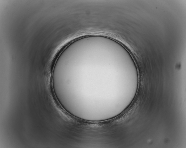 X0000100421507200806060936