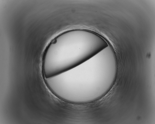 X0000100421508200806060936