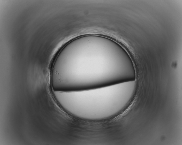 X0000100421509200806060936
