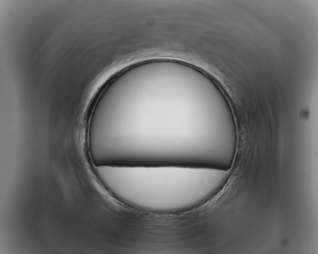 X0000100421511200806060936