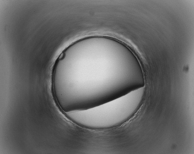 X0000100421512200806060936