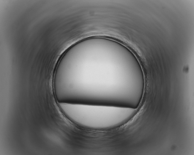 X0000100421513200806060936